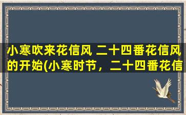 小寒吹来花信风 二十四番花信风的开始(小寒时节，二十四番花信风初吹——赏花宜谷中江畔)